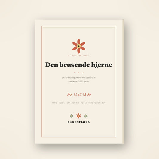 Den brusende hjerne 13-18 år
