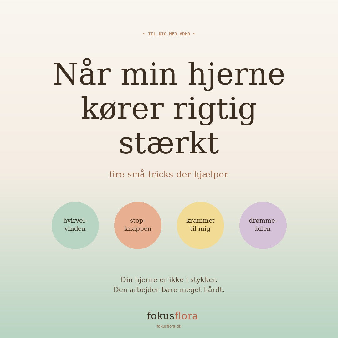Mindfullness til Børn med ADHD alder 6-12 år - Gratis guide