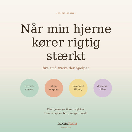 Mindfullness til Børn med ADHD alder 6-12 år - Gratis guide